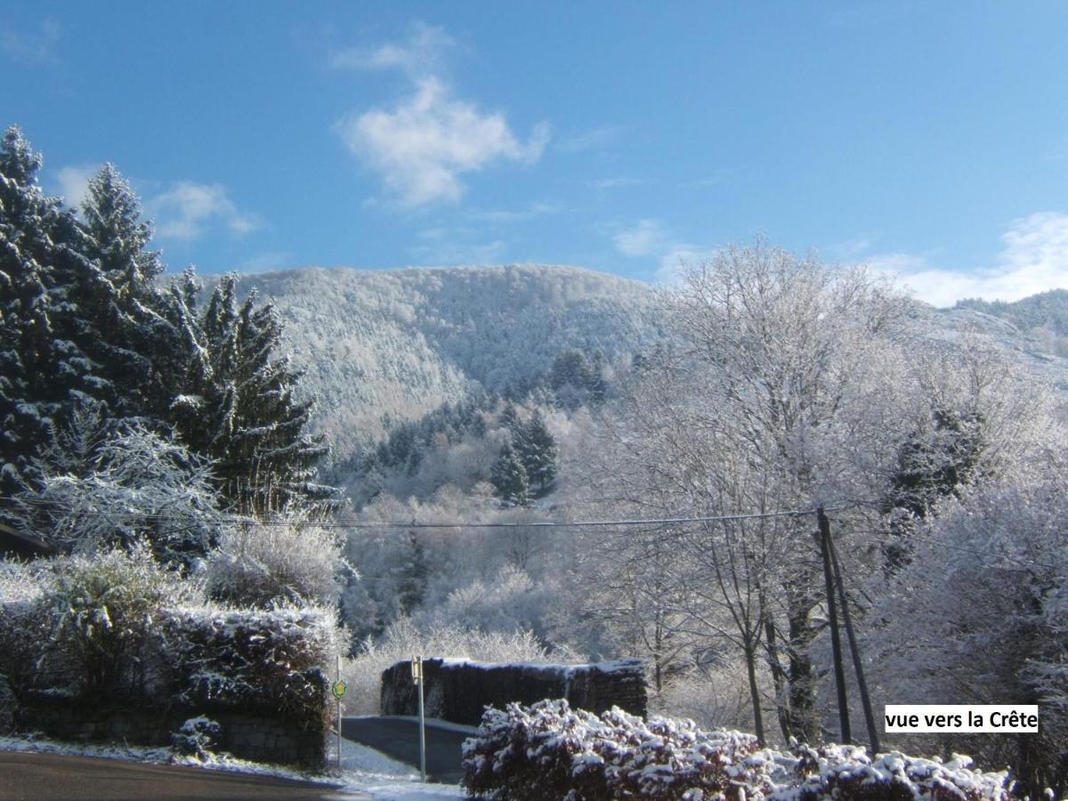 Le Chalet Bel Air Oderen Esterno foto